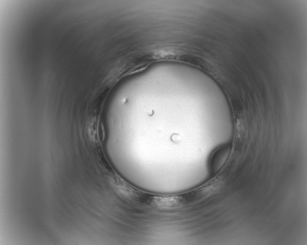 X0000064050671200602101452