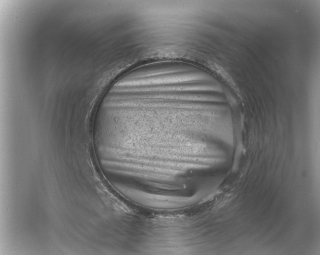 X0000064050673200602101451