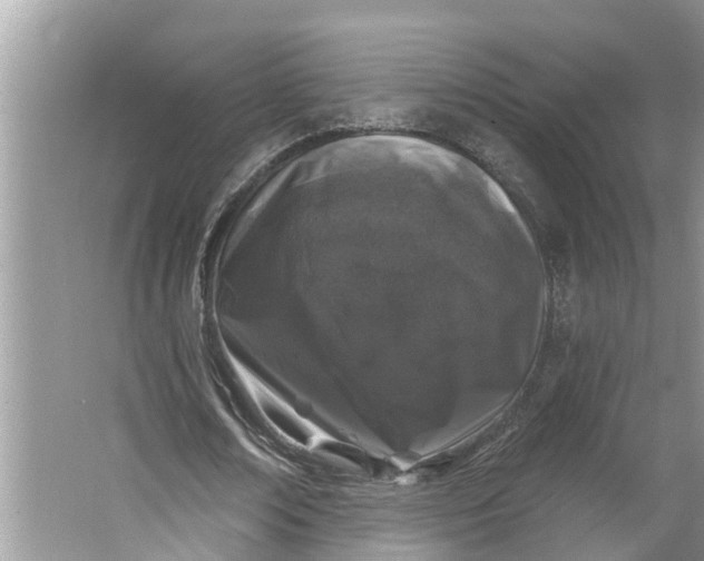 X0000064050674200602101451