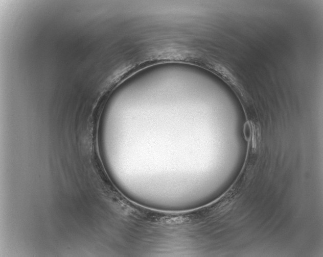 X0000064050675200602101451