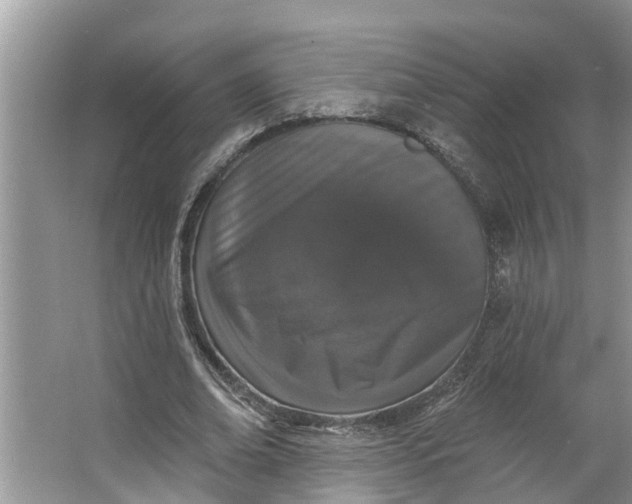 X0000064050678200602101451