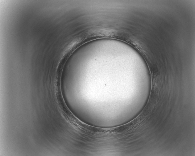 X0000064050679200602101451