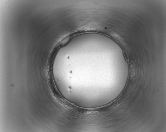 X0000064050680200602101451