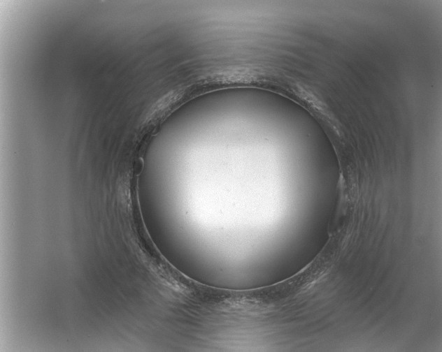 X0000064050681200602101451