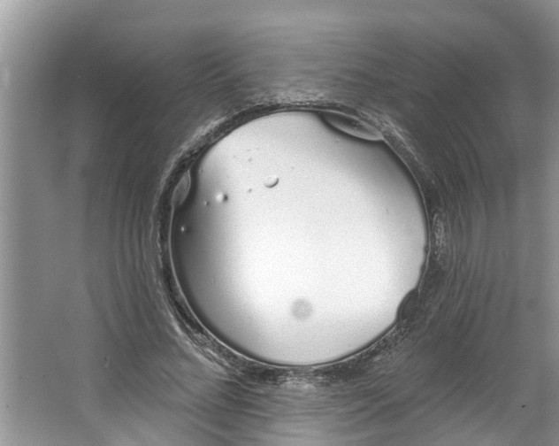 X0000064050684200602101451