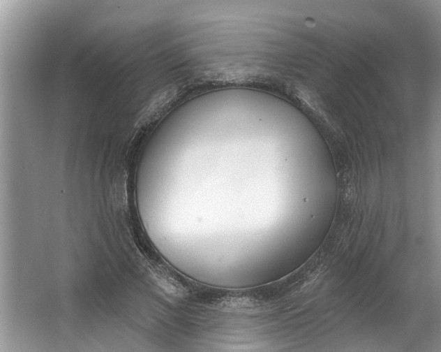 X0000064050685200602101451