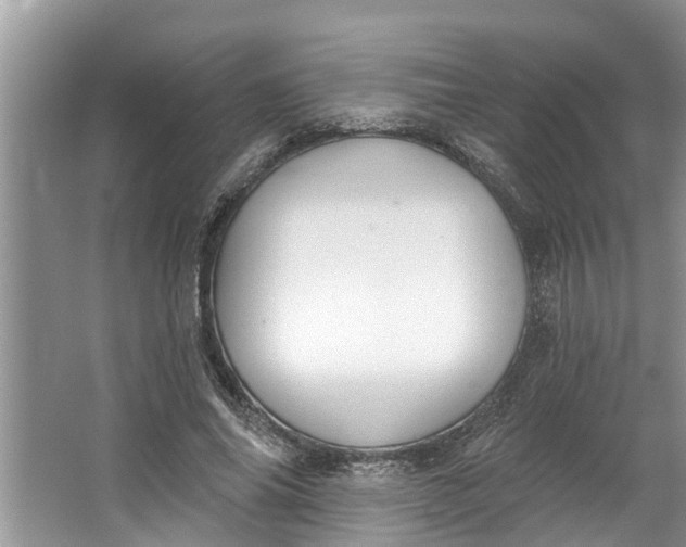 X0000064050686200602101451