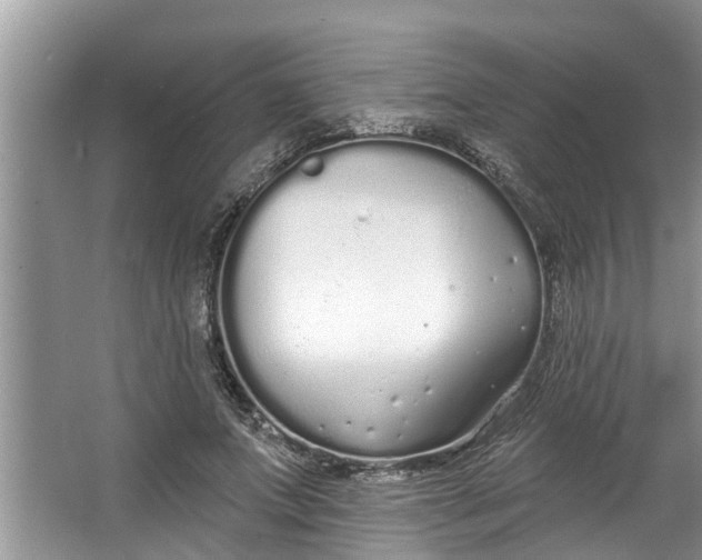 X0000064050687200602101451