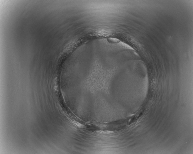 X0000064050689200602101451