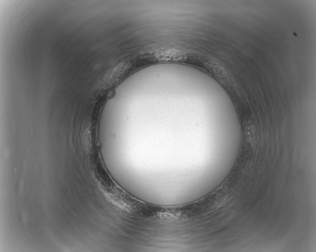 X0000064050690200602101451