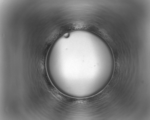 X0000064050691200602101451