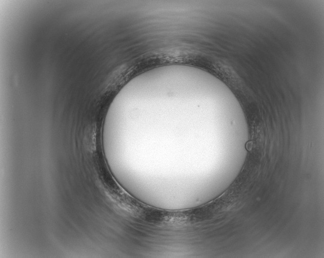 X0000064050694200602101451