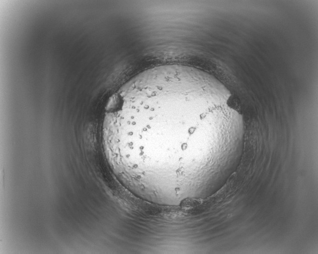 X0000064050695200602101451