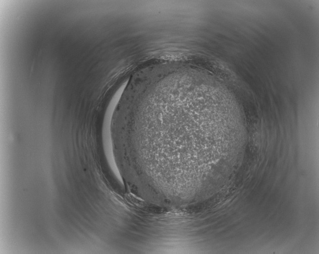 X0000064050696200602101451