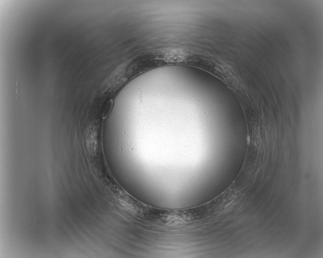 X0000064050697200602101451