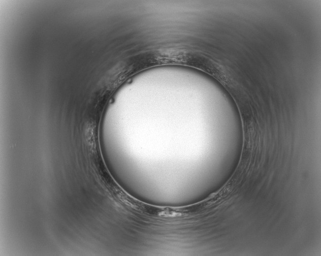 X0000064050699200602101451