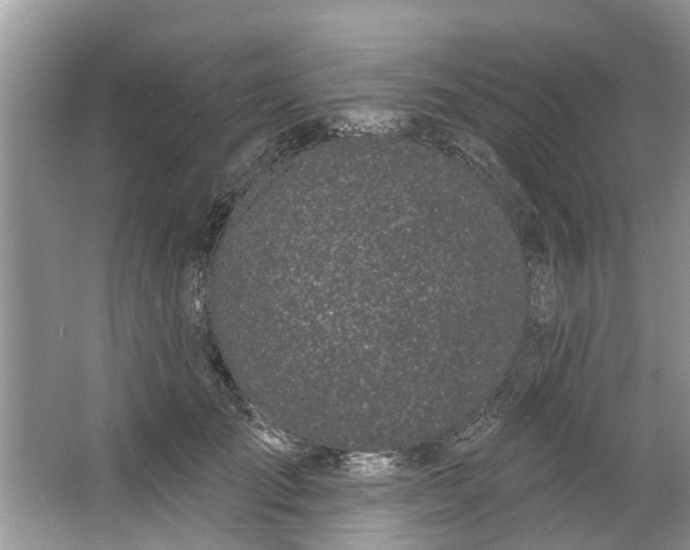 X0000064050701200602101451