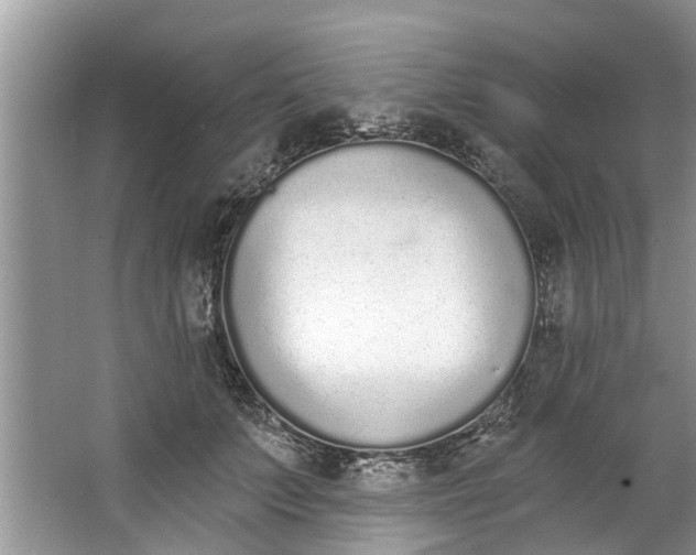 X0000064050703200602101451