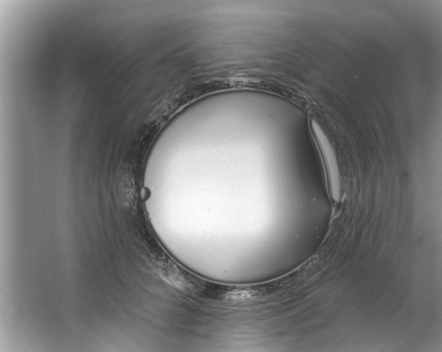 X0000064050704200602101451