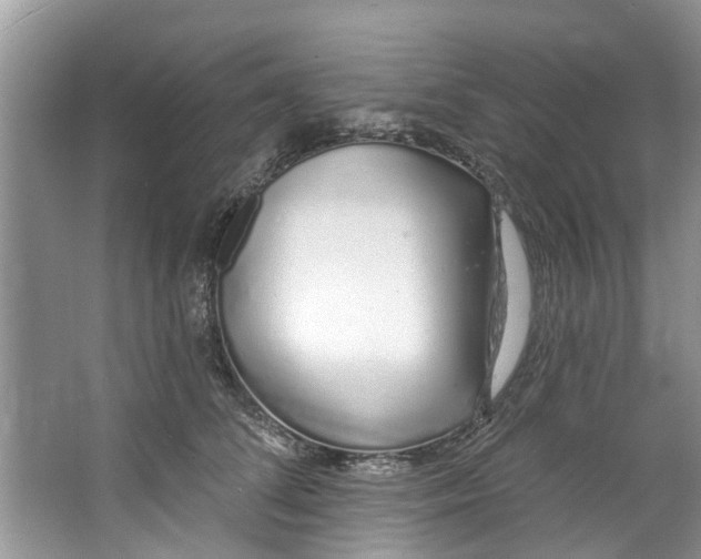 X0000064050708200602101450