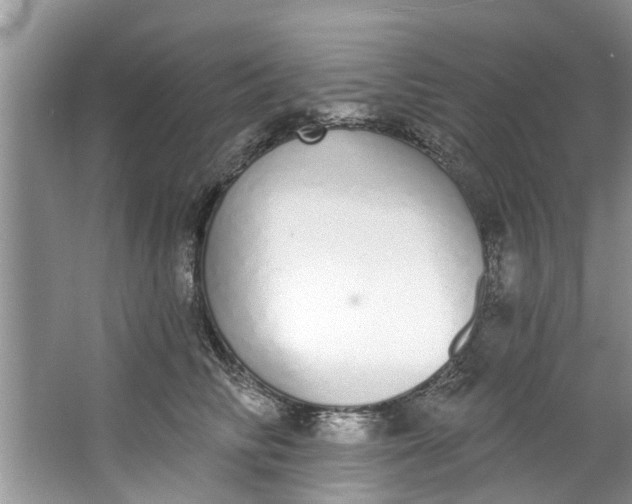 X0000064050710200602101450