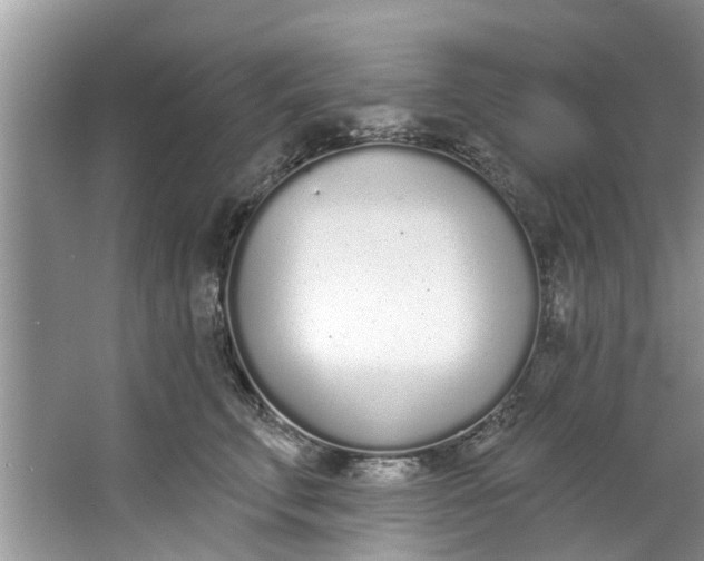 X0000064050711200602101450