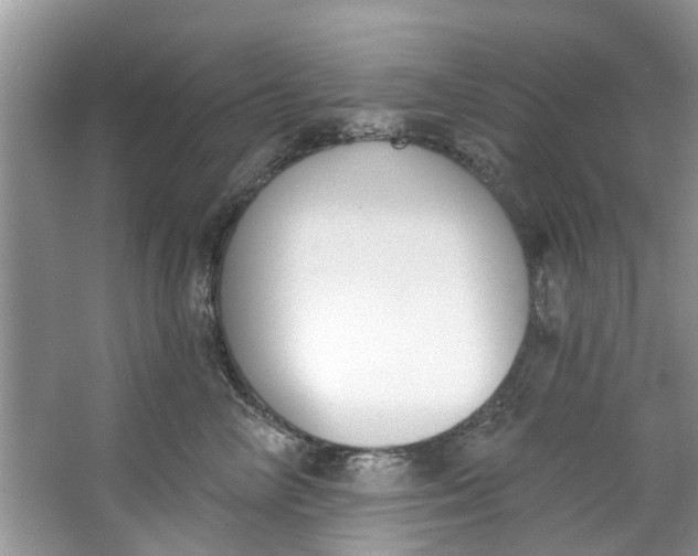 X0000064050714200602101450