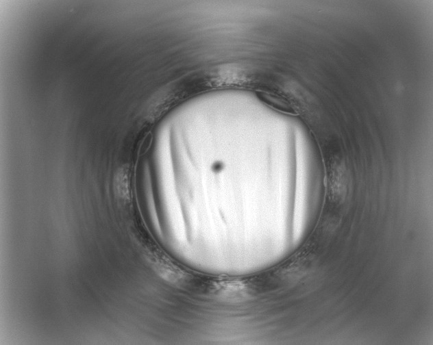 X0000064050715200602101450