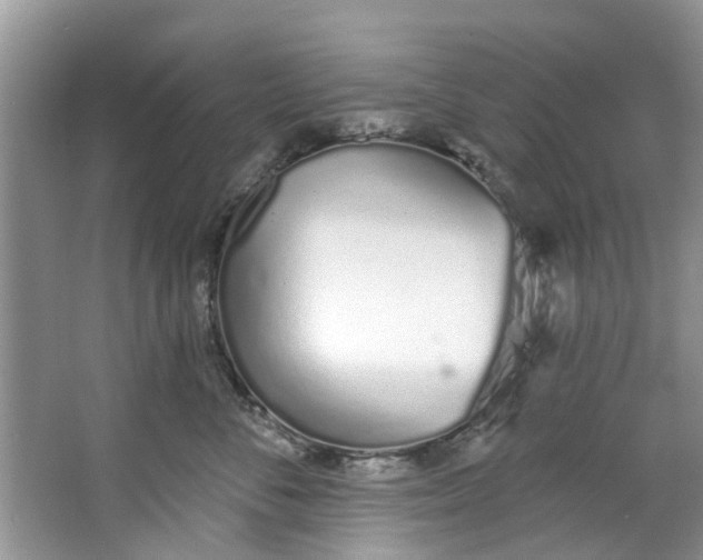 X0000064050716200602101450