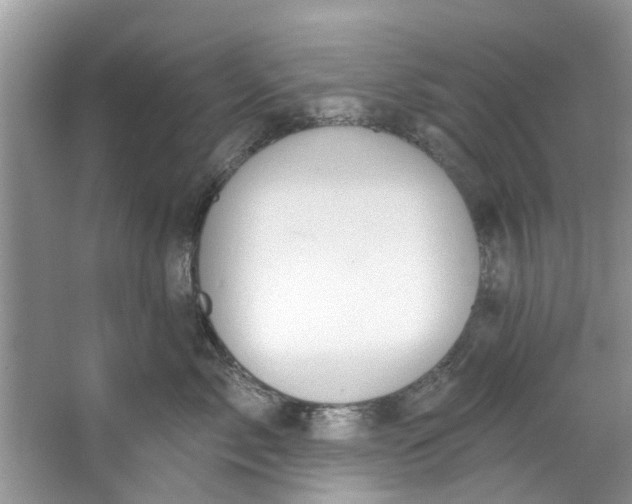 X0000064050717200602101450