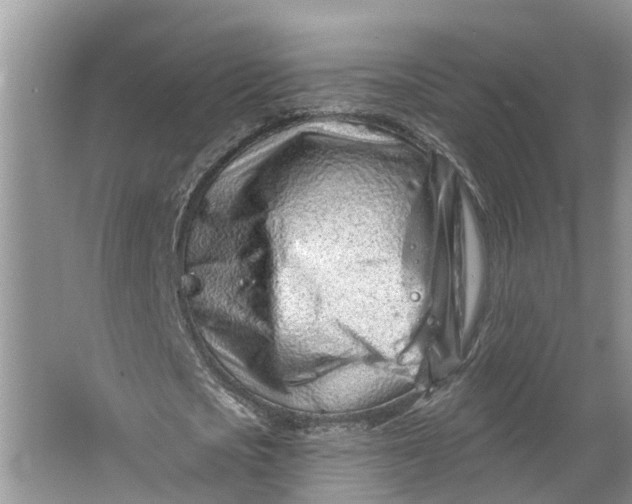 X0000064050721200602101449