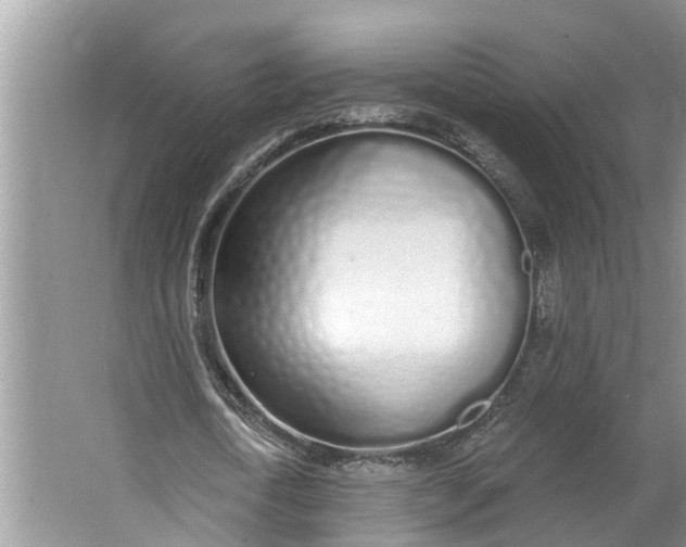 X0000064050722200602101449