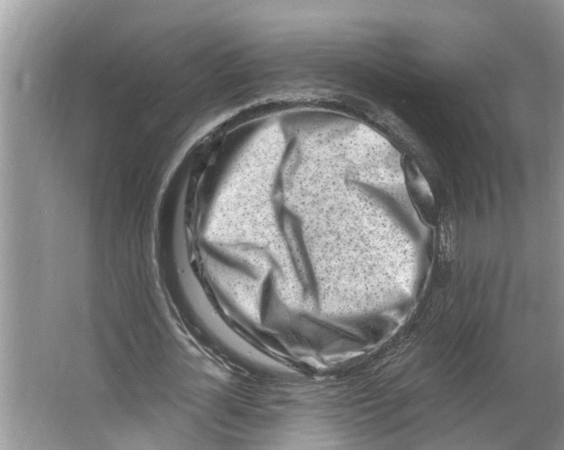 X0000064050724200602101450