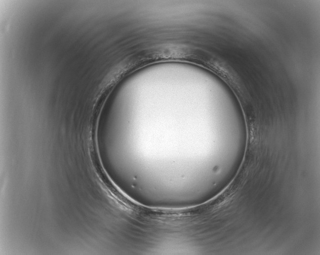 X0000064050725200602101450