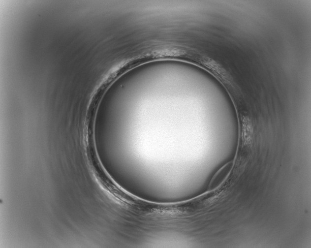 X0000064050726200602101450