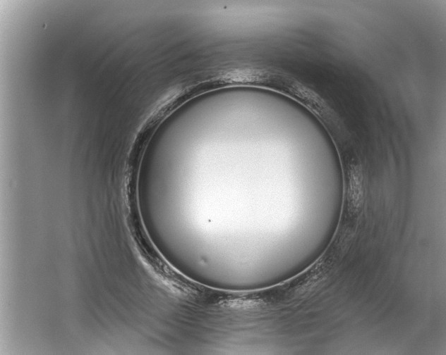 X0000064050730200602101450