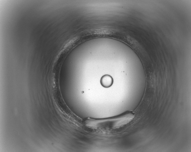 X0000064050731200602101450