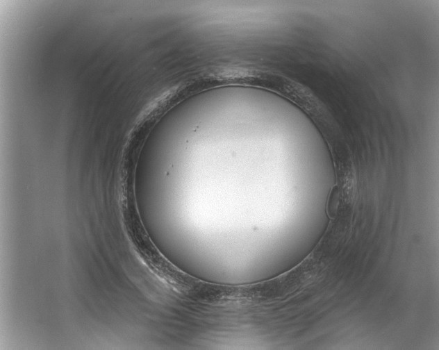 X0000064050732200602101450