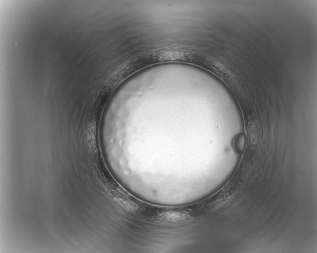 X0000064050737200602101450