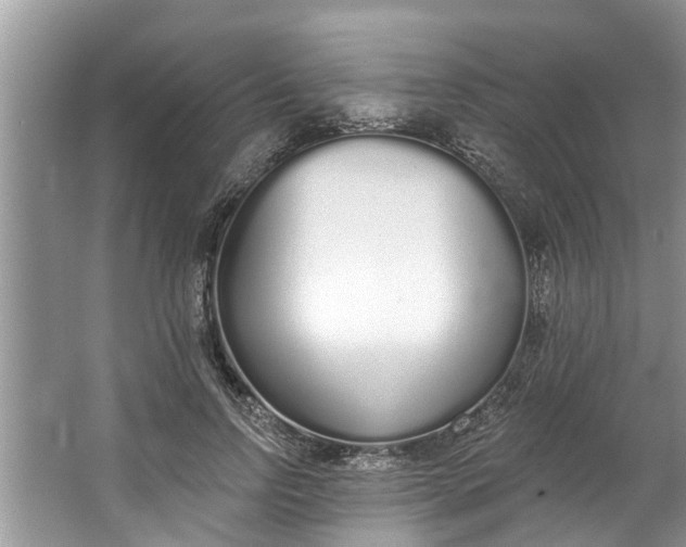 X0000064050742200602101450