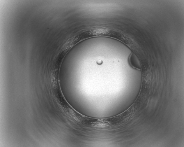 X0000064050743200602101450