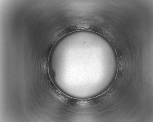 X0000064050745200602101450