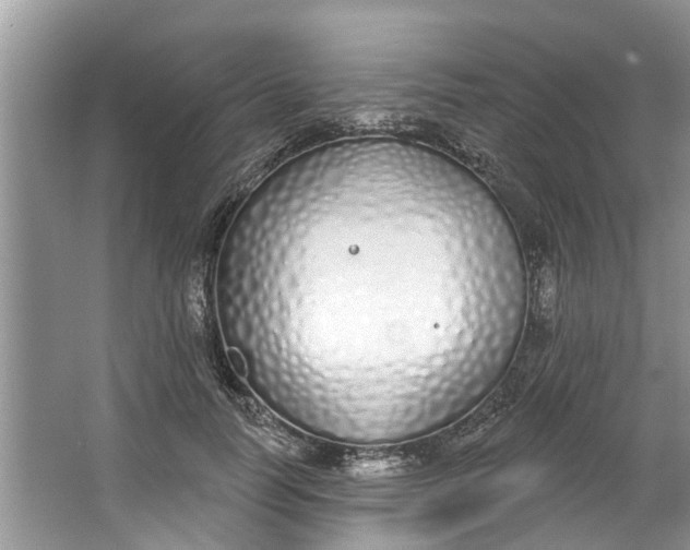 X0000064050746200602101450