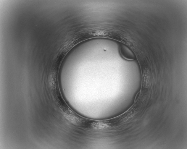 X0000064050747200602101450