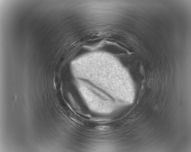 X0000064050748200602101450