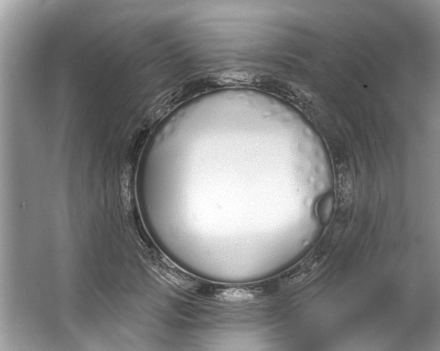 X0000064050749200602101450