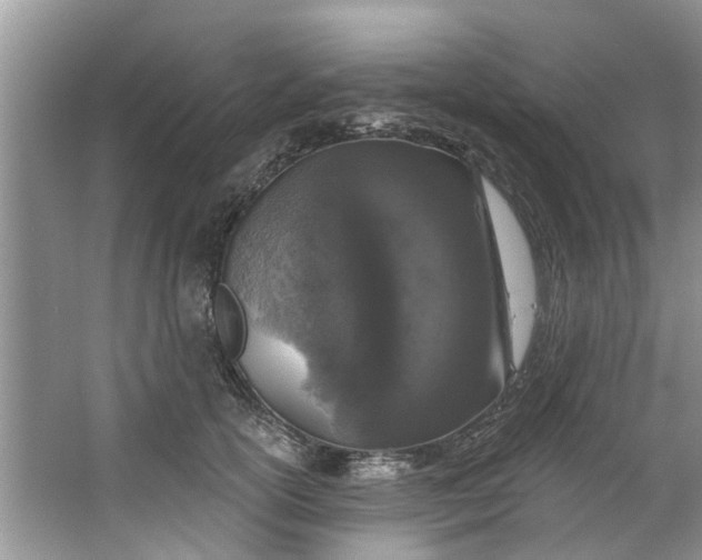 X0000064050754200602101450