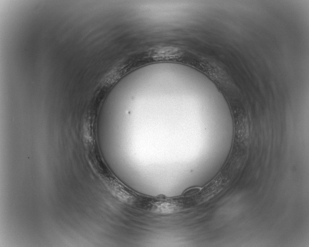 X0000064050755200602101450