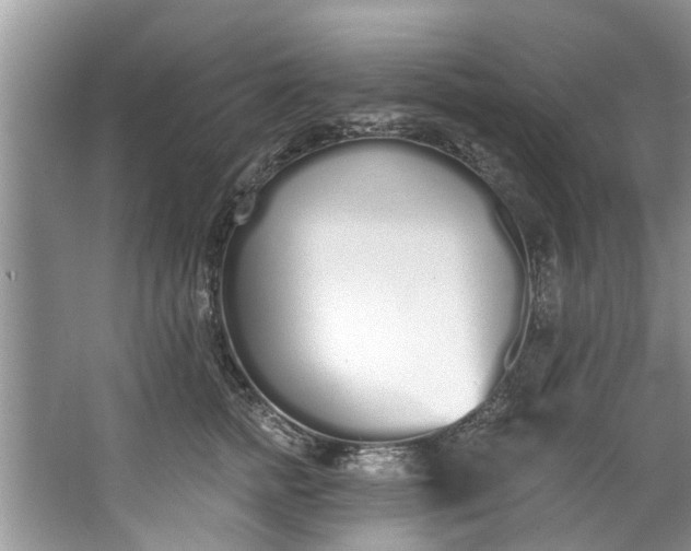 X0000064050758200602101450