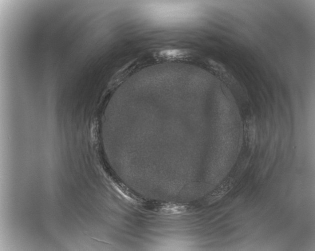 X0000064050760200602101450